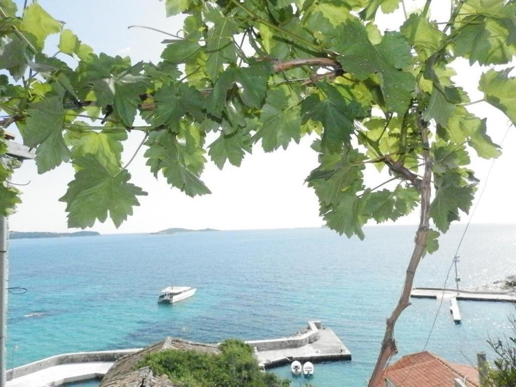 Villa Šoti Mlini Esterno foto