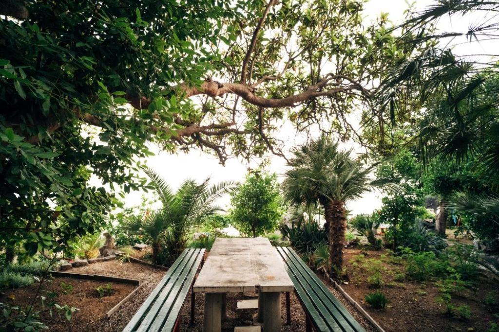 Villa Šoti Mlini Esterno foto